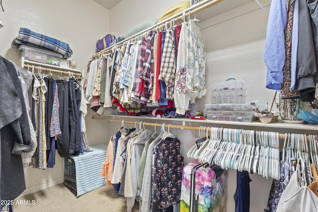 spacious closet featuring carpet flooring