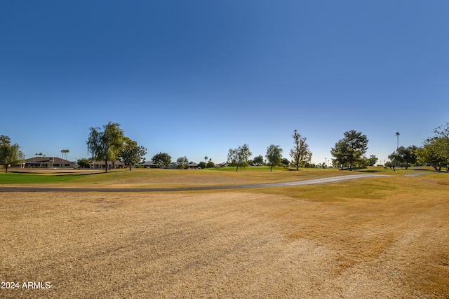 view of property's community with a yard