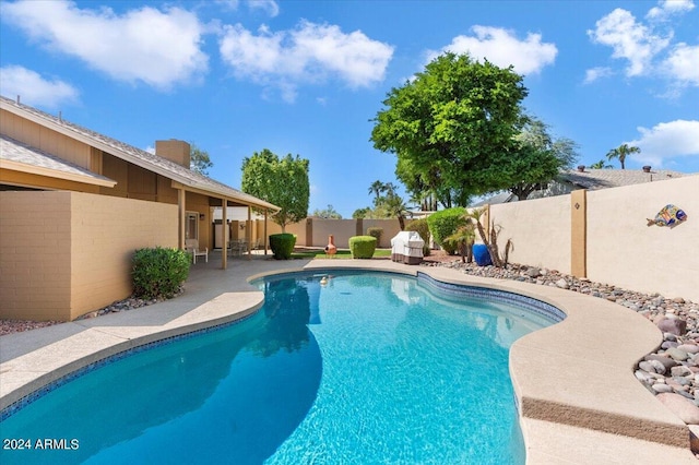 view of pool featuring a patio area