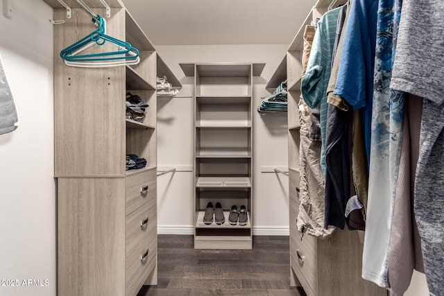 12241 N 49th Ave, Glendale, AZ 85304 - walk in closet featuring dark wood-style flooring