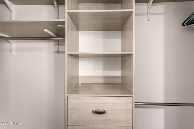 12241 N 49th Ave, Glendale, AZ 85304 - view of spacious closet