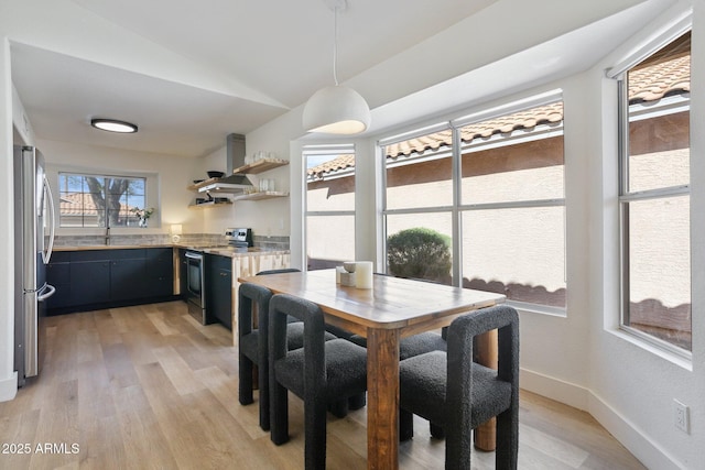 dining room featuring light wood finished floors, a healthy amount of sunlight, and baseboards