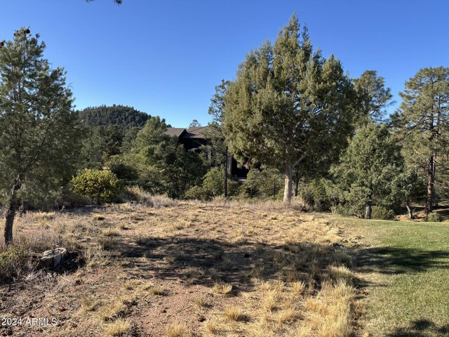 2502 E Rim Club Dr Unit 118, Payson, AZ 85541