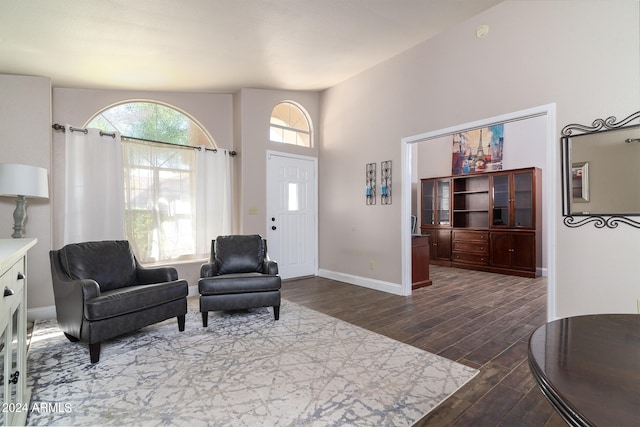 interior space featuring a high ceiling and dark hardwood / wood-style flooring