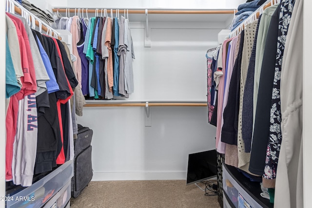 spacious closet with light carpet