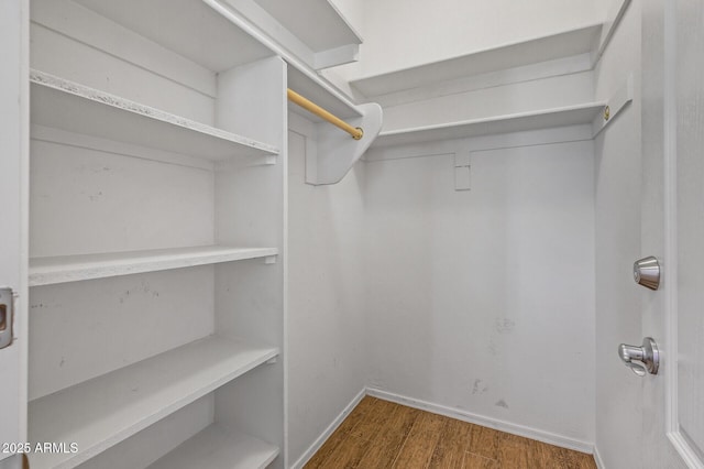 301 S 225th Ave, Buckeye, AZ 85326 - spacious closet featuring wood finished floors