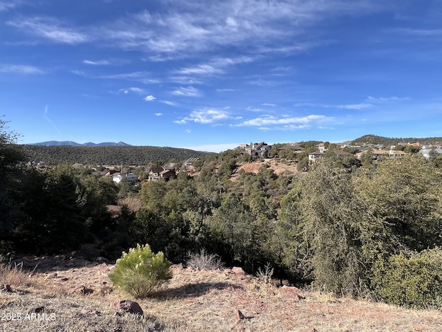 211 S Brassie Dr Unit 55, Payson AZ, 85541 land for sale