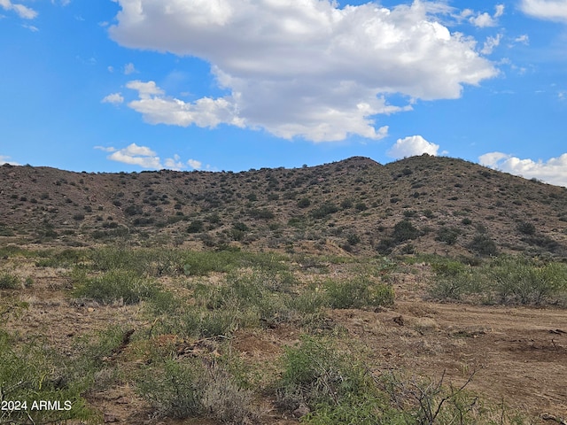 TBD N College Peak Rd Unit 111, Douglas AZ, 85607 land for sale