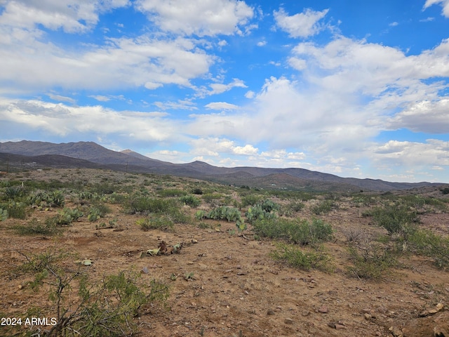 Listing photo 2 for TBD N College Peak Rd Unit 111, Douglas AZ 85607