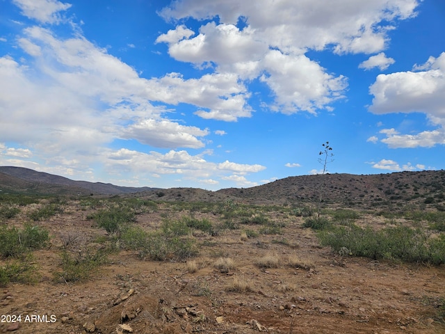 Listing photo 3 for TBD N College Peak Rd Unit 111, Douglas AZ 85607