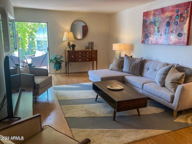 living room featuring light hardwood / wood-style floors