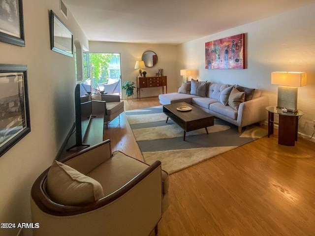 living room with wood-type flooring