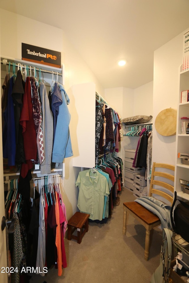 spacious closet featuring carpet flooring