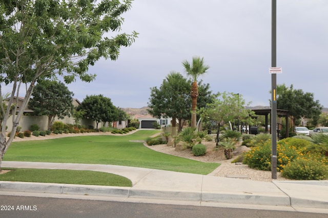 surrounding community with a lawn