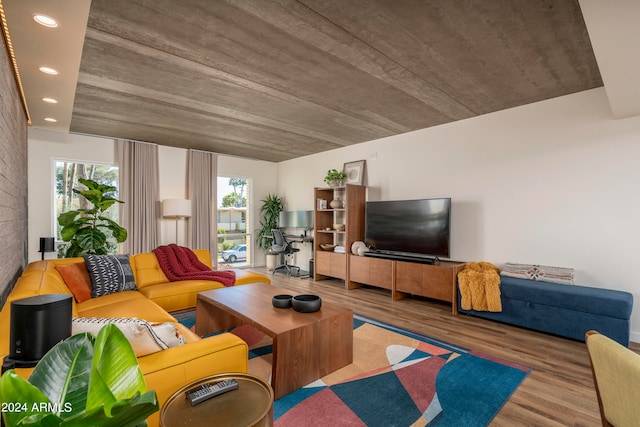 living room with wood-type flooring