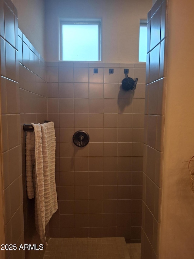 10773 W Prickly Pear Trl, Peoria, AZ 85383 - bathroom with a tile shower