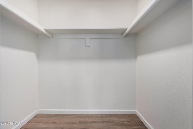 spacious closet with hardwood / wood-style floors