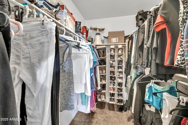 450 W Mountain Sage Dr, Phoenix, AZ 85045 - walk in closet featuring carpet flooring