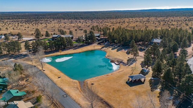 view of pool with a water view