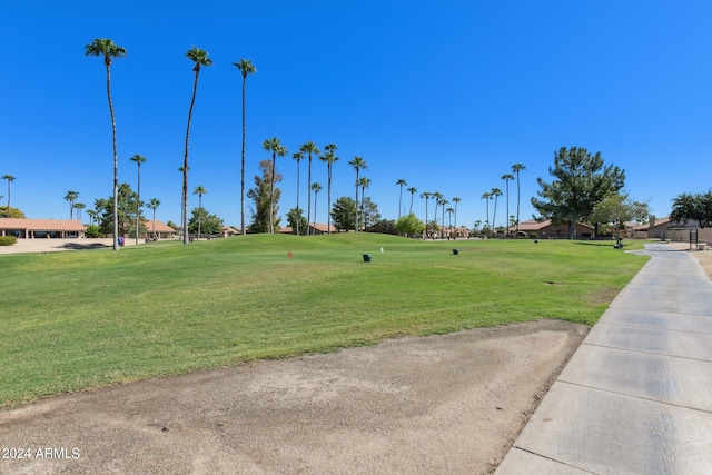 view of community with a yard