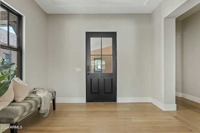 entrance foyer featuring light hardwood / wood-style floors