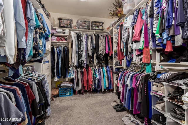 3166 N 158th Ave, Goodyear, AZ 85395 - spacious closet featuring carpet floors