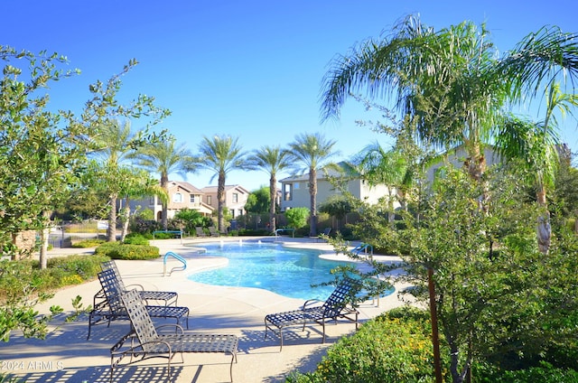 view of swimming pool featuring a patio