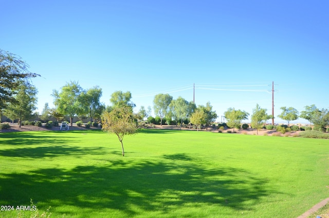 view of community featuring a yard