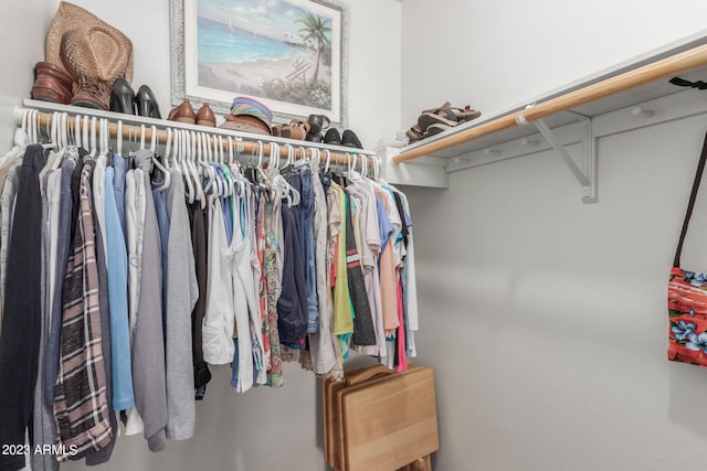 view of spacious closet