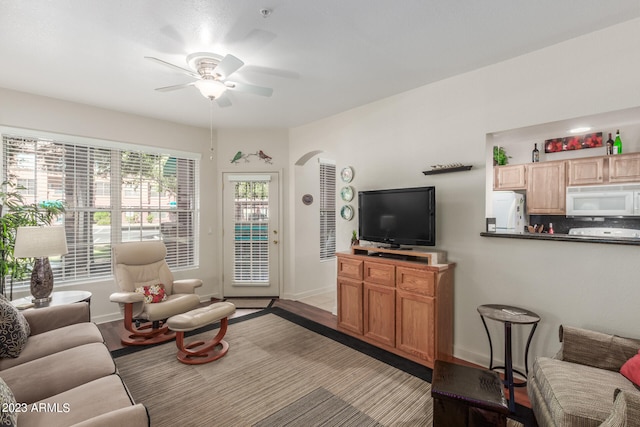 living room with light hardwood / wood-style floors and ceiling fan