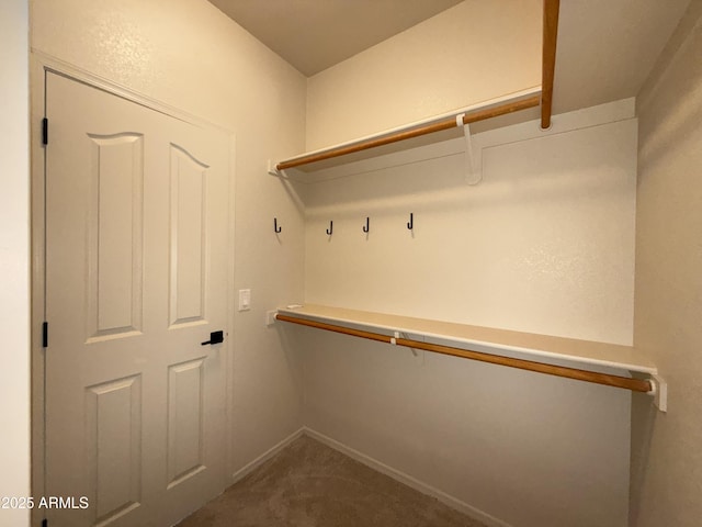 walk in closet with carpet floors