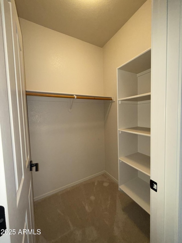 walk in closet featuring carpet