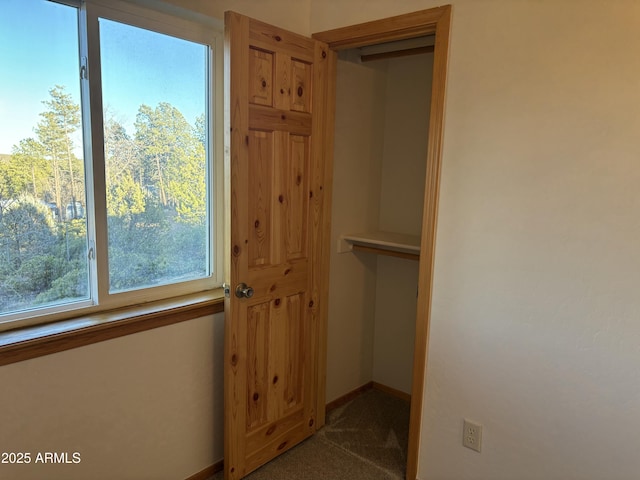 view of closet