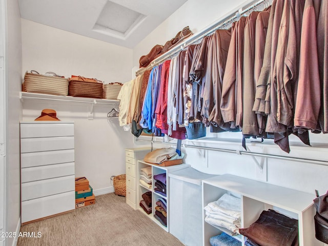 spacious closet with light carpet