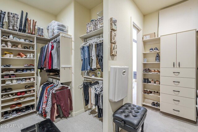 8248 E Arroyo Hondo Rd, Scottsdale, AZ 85266 - walk in closet with light carpet
