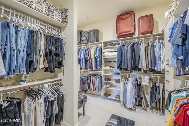 8248 E Arroyo Hondo Rd, Scottsdale, AZ 85266 - spacious closet with carpet