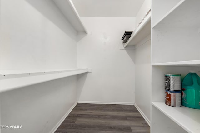 walk in closet featuring dark hardwood / wood-style flooring