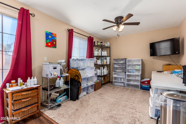 interior space with ceiling fan