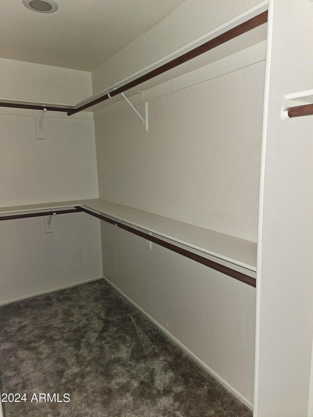 spacious closet featuring carpet floors