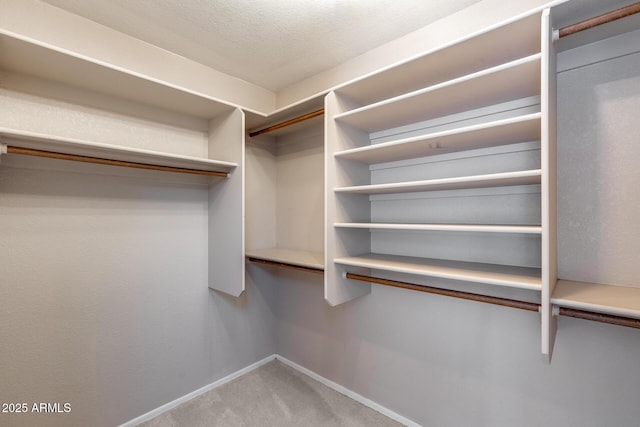 4443 W Escuda Dr, Glendale, AZ 85308 - walk in closet featuring carpet flooring
