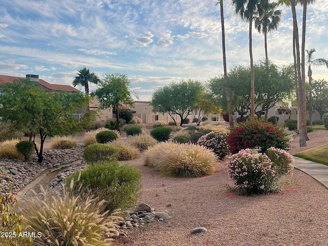 11144 N 109th Way, Scottsdale, AZ 85259 - exterior space