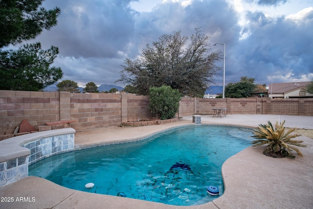 view of pool with a fenced in pool, a patio, and a fenced backyard