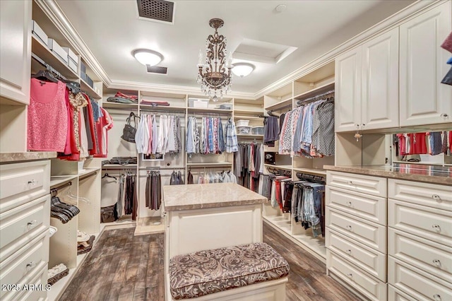 10935 E Grandview Way, Scottsdale, AZ 85255 - walk in closet with dark wood-type flooring, attic access, and visible vents