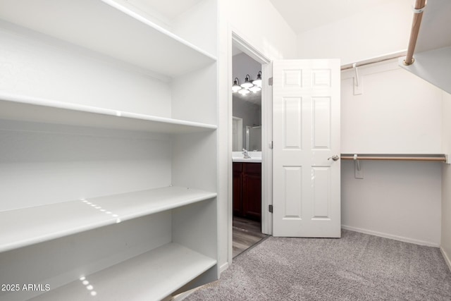 walk in closet featuring carpet floors and sink