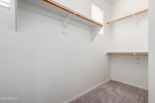 walk in closet with light colored carpet