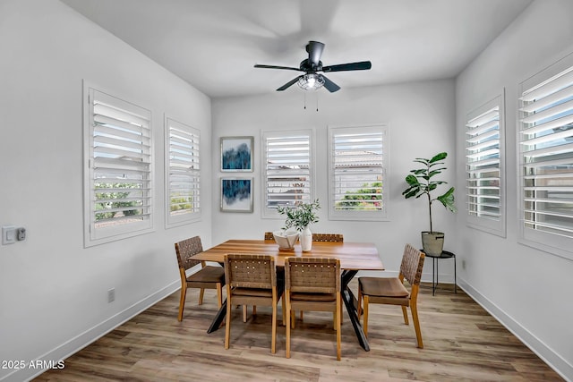 19736 W Turney Ave, Litchfield Park, AZ 85340 - dining space with wood finished floors, ceiling fan, and baseboards