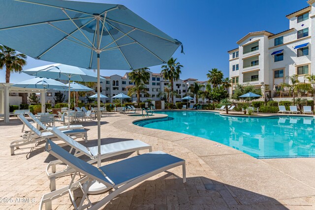 2511 W Queen Creek Rd Unit 174, Chandler, AZ 85248 - community pool with a patio and a residential view