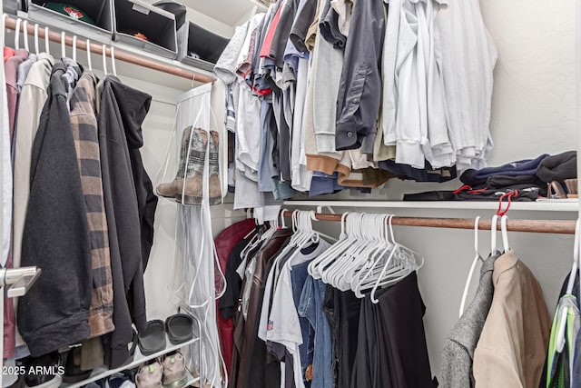 view of walk in closet