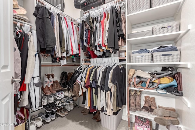 spacious closet with carpet