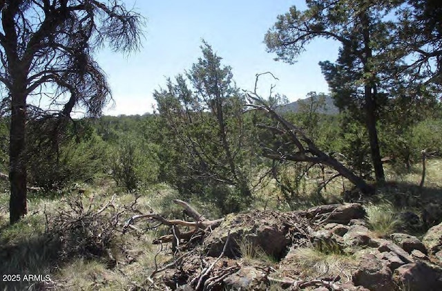 0 Espee Rd -, Unit Williams, AZ 86046